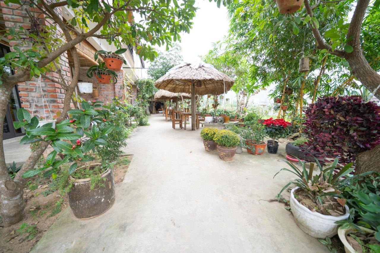 Jungle Boss Homestay Phong Nha Exterior foto